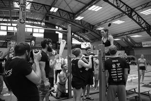 乐鱼电竞-“2025世界游泳锦标赛：水上芭蕾精彩纷呈，艺术之美与竞技并行”